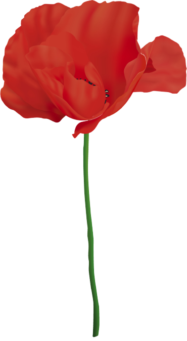 coquelicot-simple